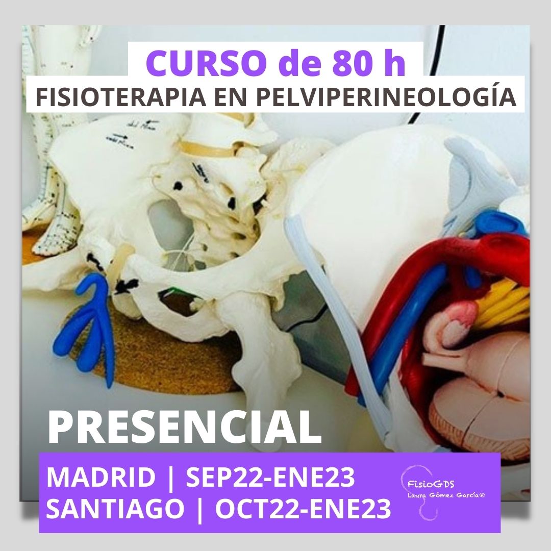 Curso fisioterapia en pelviperineologia fisioGDS Santiago Compostela Madrid presencial 2022