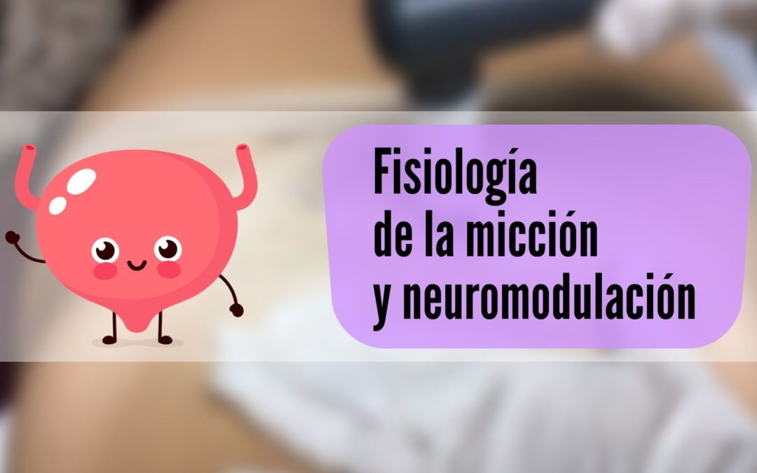 Fisiología de la micción y neuromodulación por Laura Gómez FisioGDS suelo pélvico vejiga incontinencia