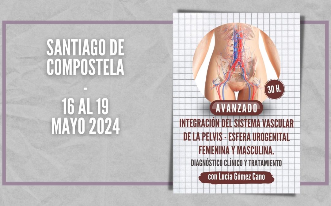 CURSO AVANZADO Integración Sistema Vascular Pelvis – Esfera Urogenital (SANTIAGO 2024)